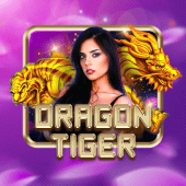 Dragon Tiger d9d9 live casino
