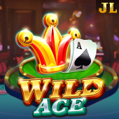 Wild Ace d9d9 slot